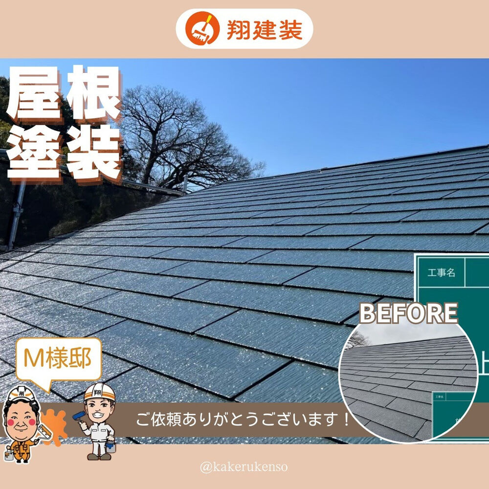 ビフォーアフターや豆知識などを紹介