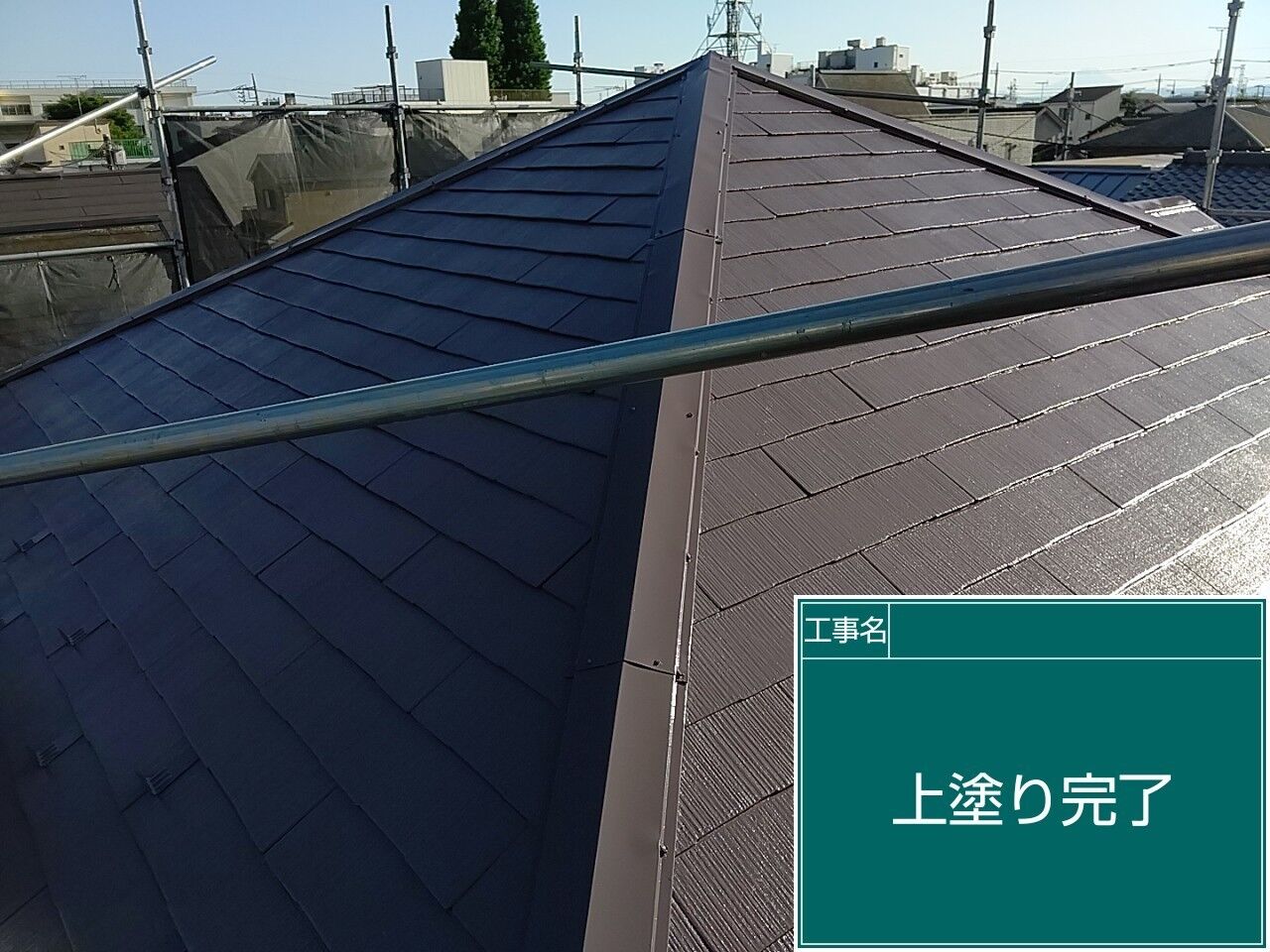 LINE_ALBUM_屋根_240619_25