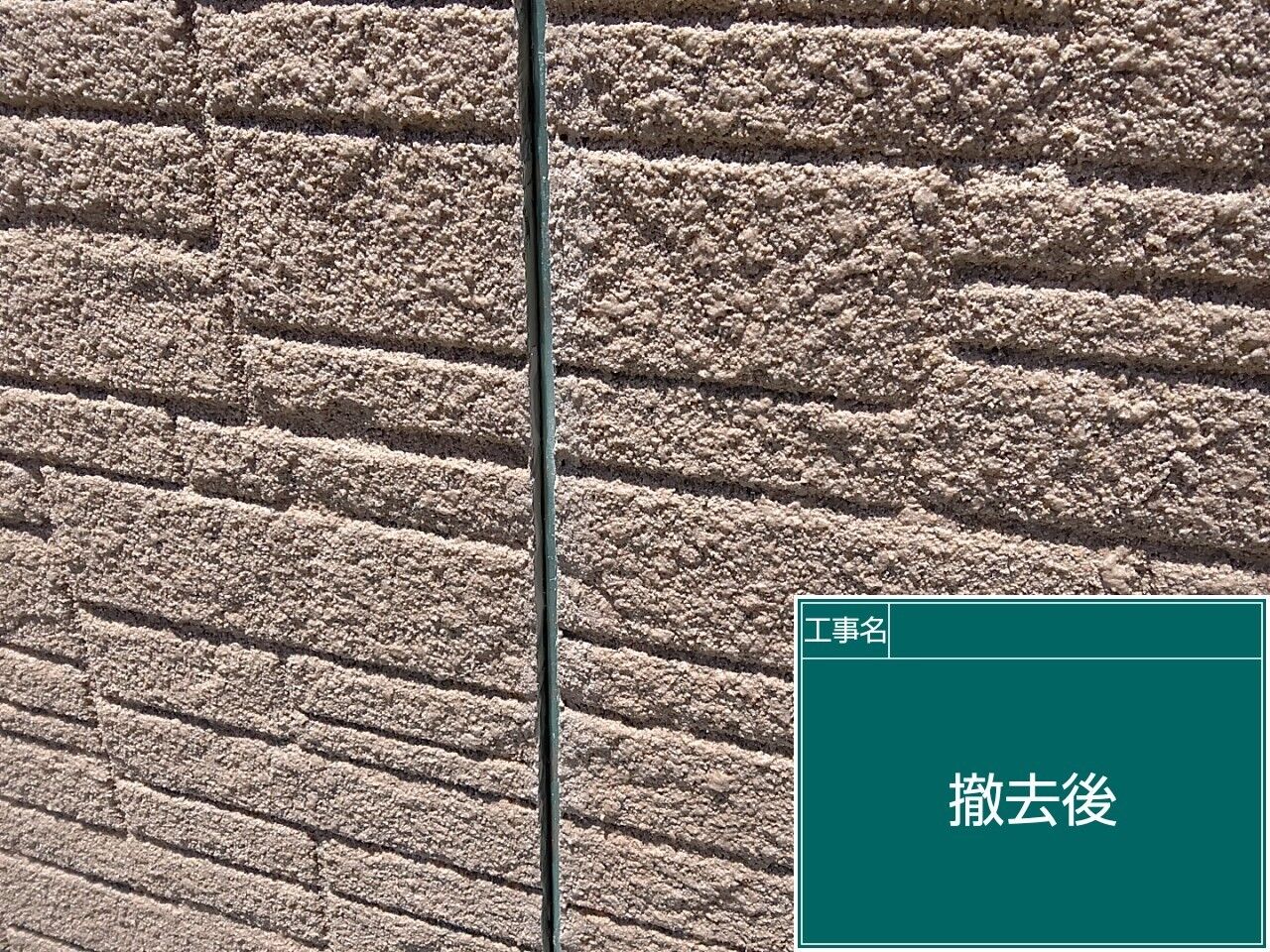 LINE_ALBUM_シール_240714_5
