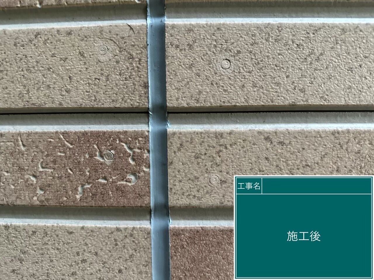 LINE_ALBUM_シール_241004_2